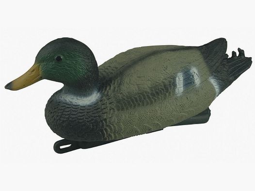 Pato Comun hembra