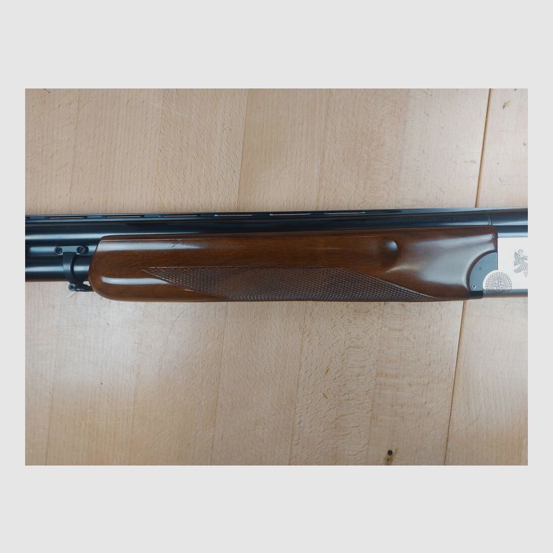 Franchi, Italia Alcione