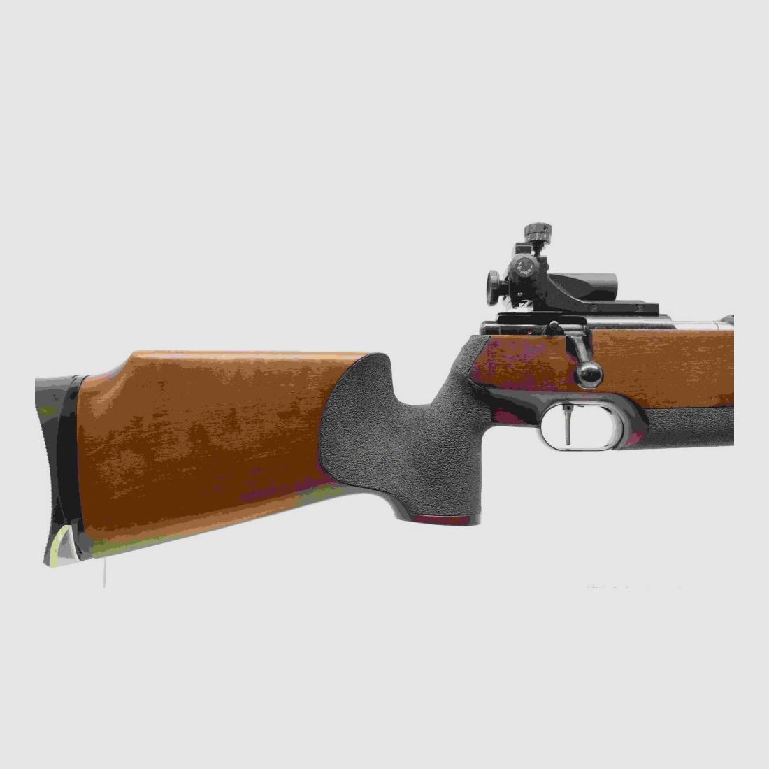 Weihrauch HW60 Match