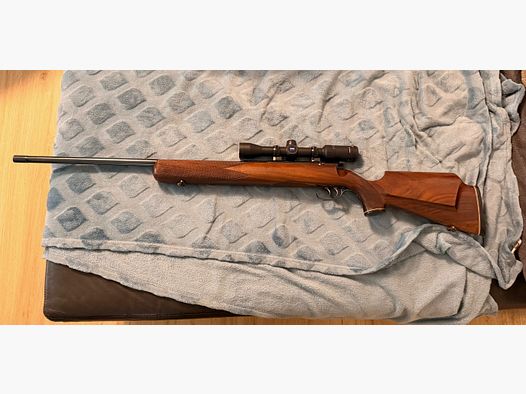 .22 Hornet Jagdmatch Anschütz