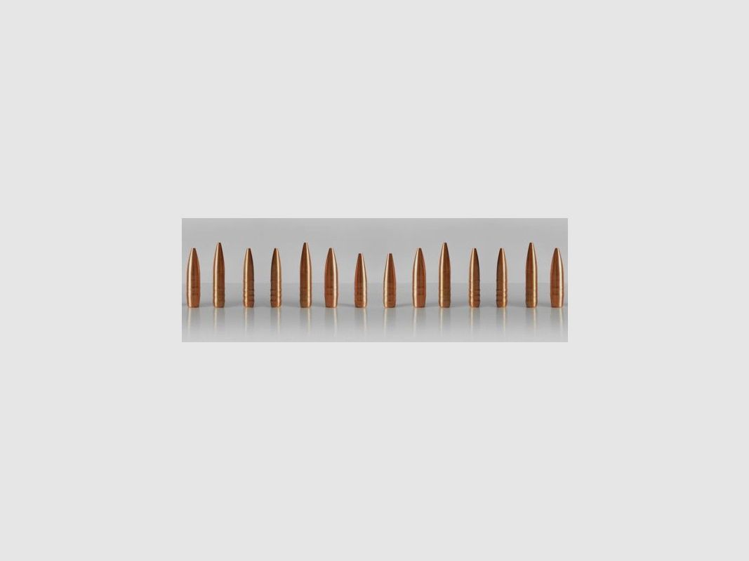 HASLER BALAS MONOLÍTICAS 25 GR 100, imagen 2 de 2