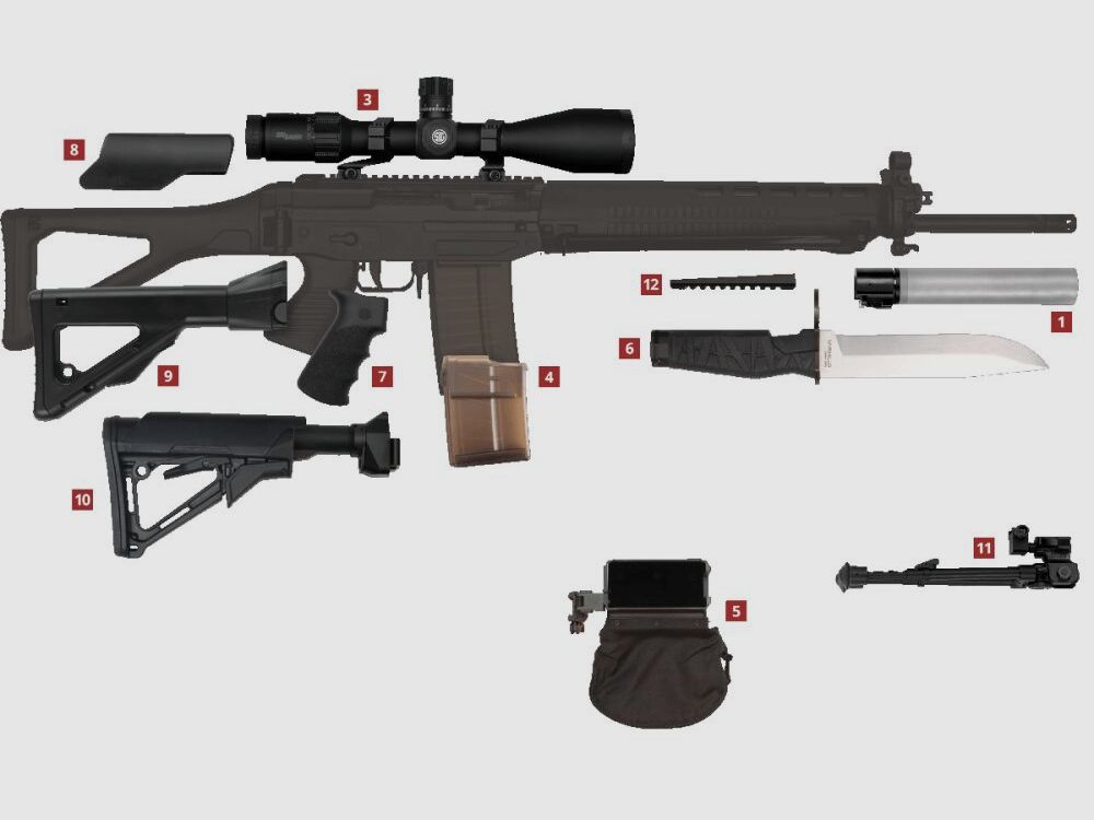 SIG SAUER Swiss Arms SG SAPR 751