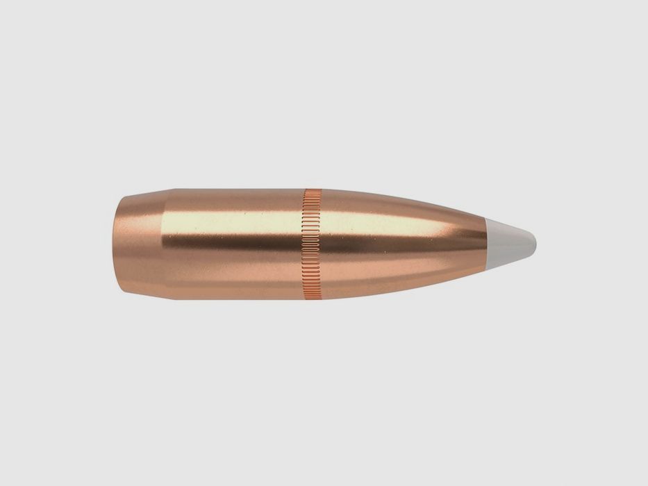NOSLER 375 KALIBER (0,375″) 260GR SPITZER 50/BOX, afbeelding 1 van 2