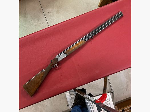 Beretta AS 12 EL