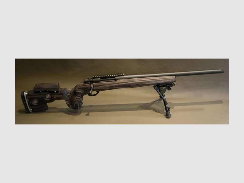 Accurate HOWA 1500 Cal 308 Win Sniper su misura GRS legno stratificato Nordic Wolf letto in acrilico completo