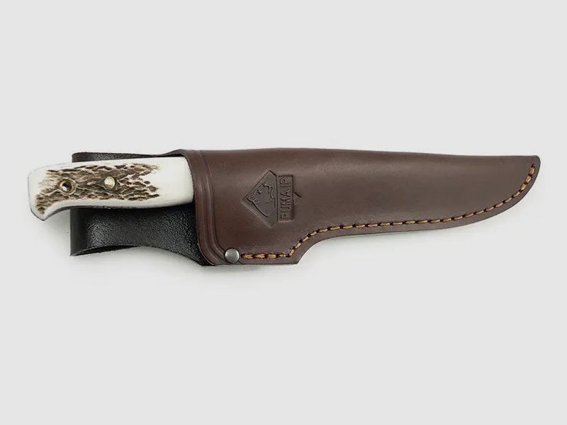 PUMA IP wildmeister, cervo