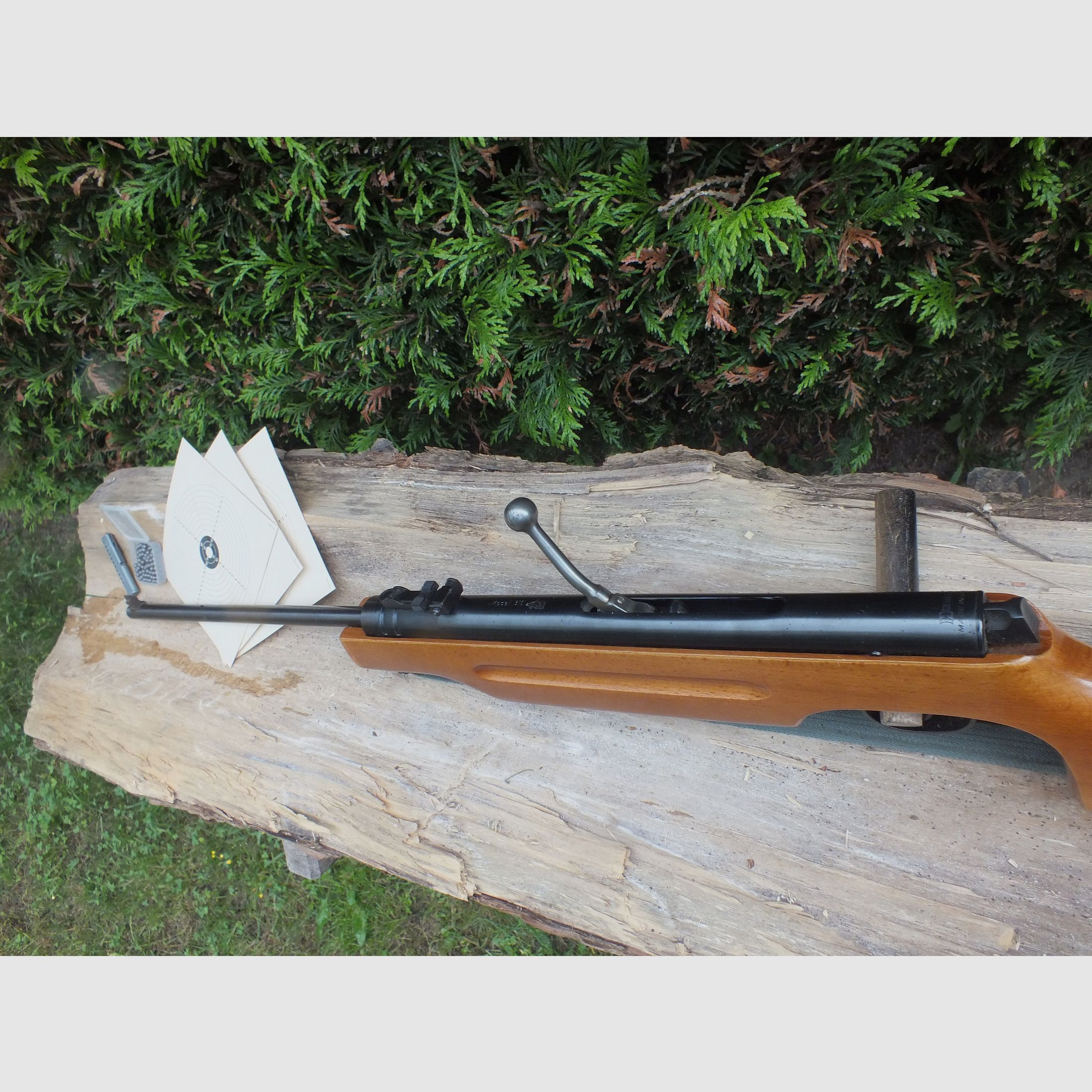 Fucile ad aria compressa Suhler Haenel 312-4.1 DDR