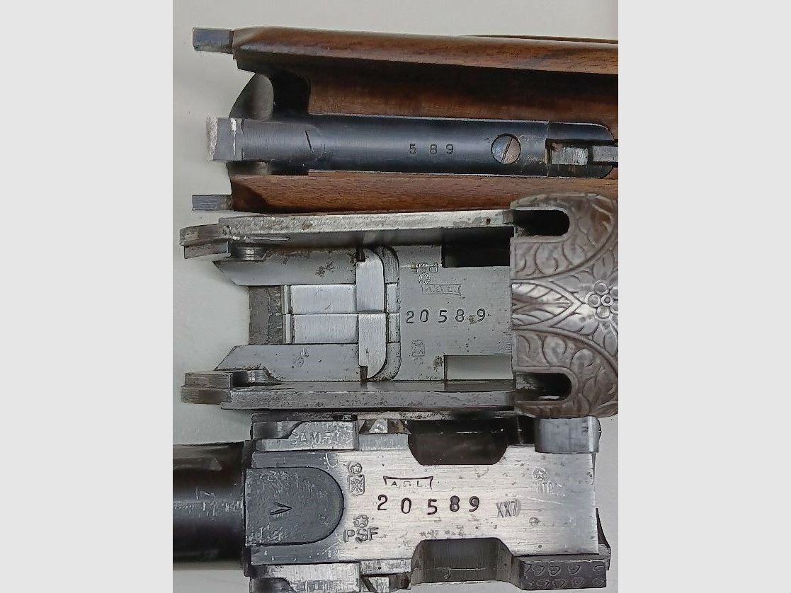 A.S.L. - Italy Turin