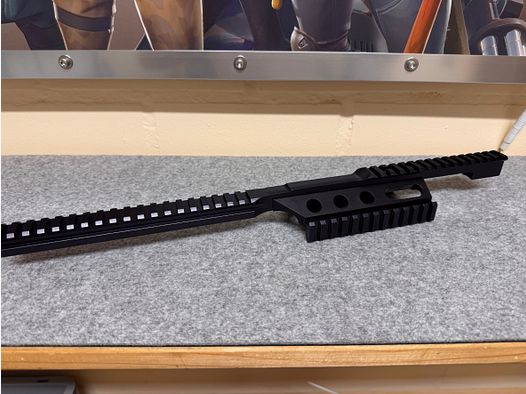 Novritsch SSG10 Mars Rail + Side Rail
