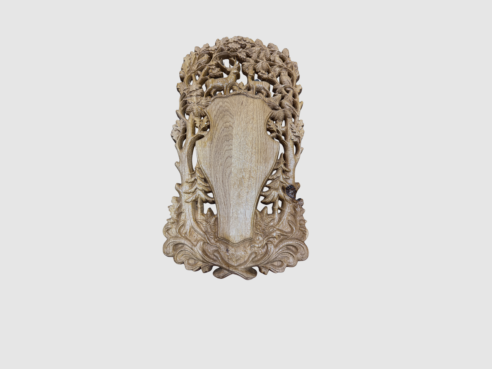 Tableau de trophées pour une occasion spéciale