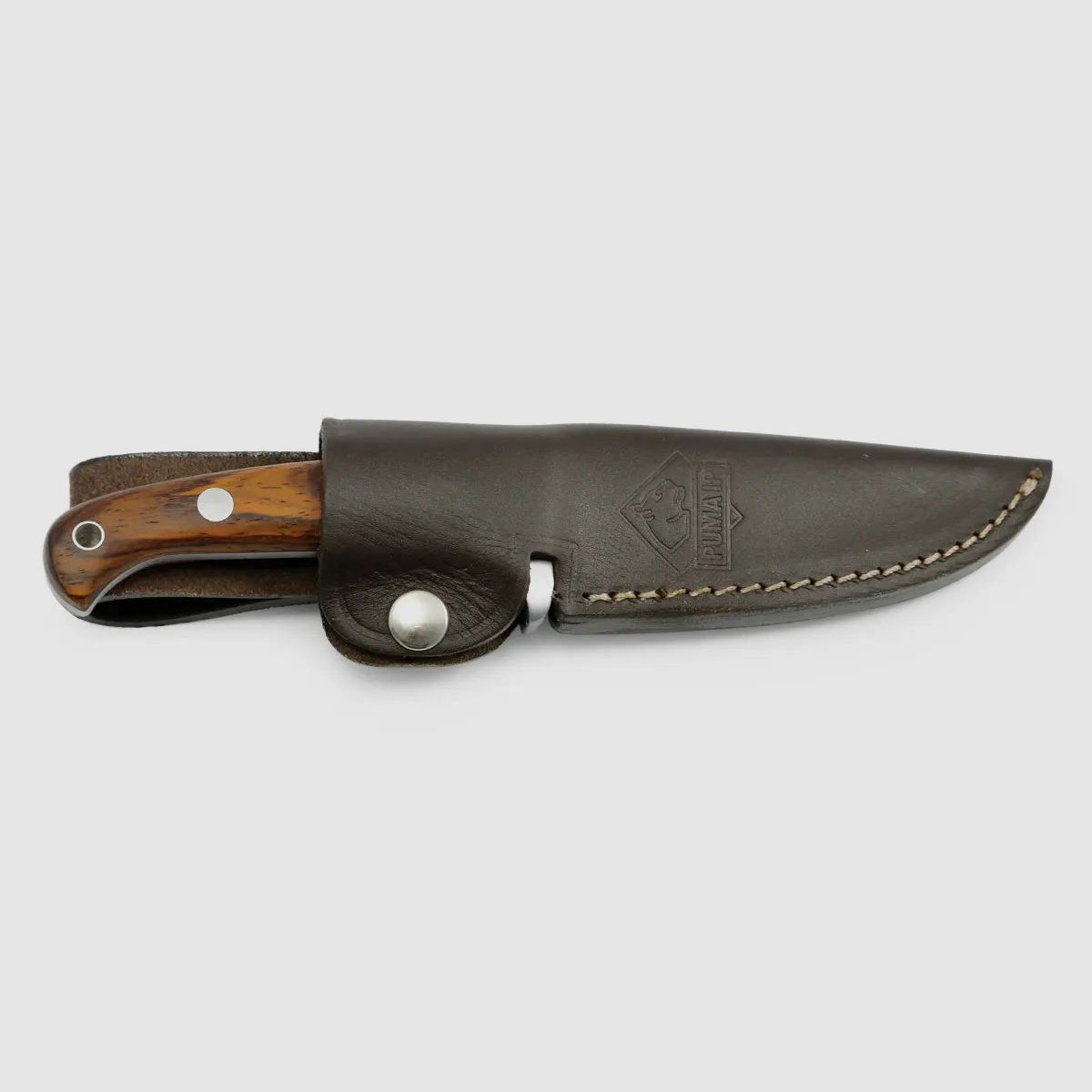 PUMA IP canis cocobolo