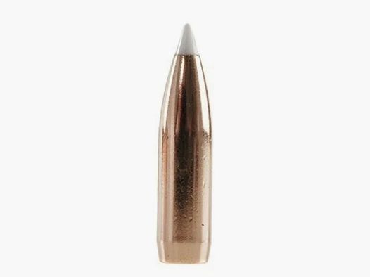Bala Nosler Accubond 8mm/.323 200GR Spitzer 50 piezas