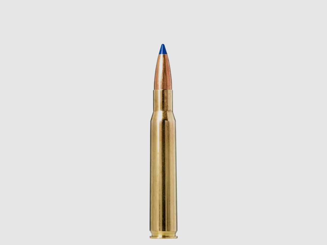 NORMA Bondstrike .30-06 Sprgf. 11,7g 180gr