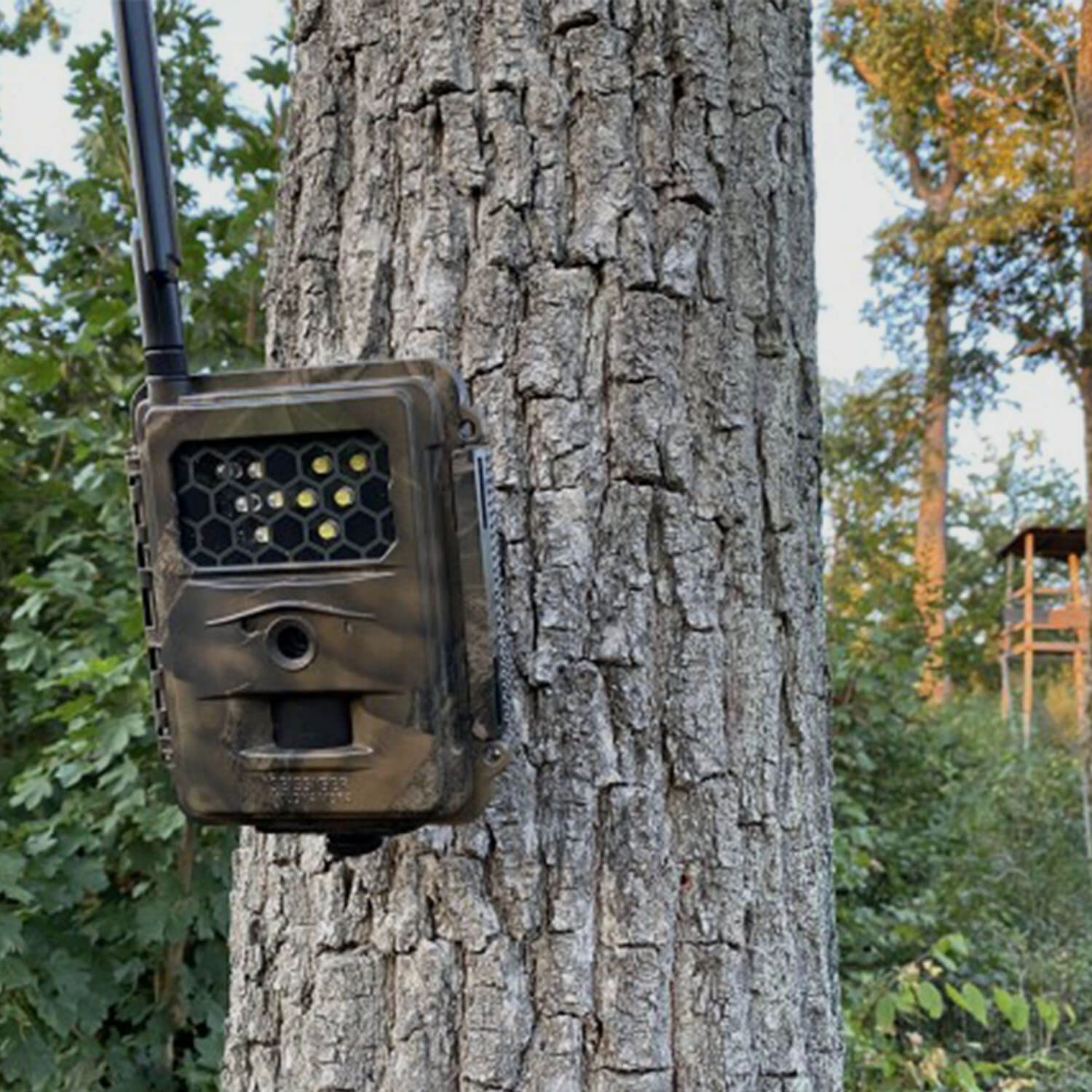 Seissiger Wildkamera Special-Cam LTE Weißblitz Supersim
