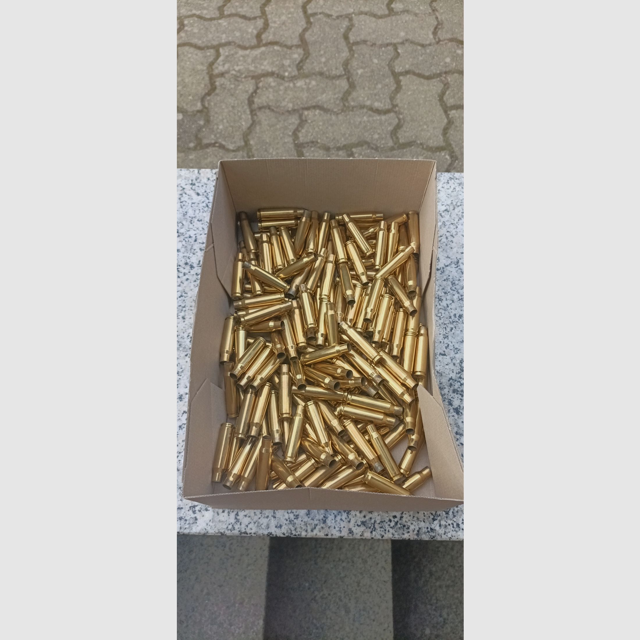 Hülsen 308 Federal ( selbes Los )