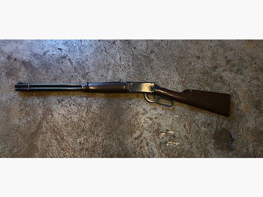 Daisy Model 1894