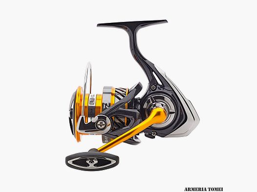 DAIWA – 19 REVROS LT 4000-CXH