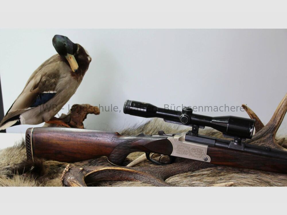 Blaser ohne 5,6x50R Mag;16/70