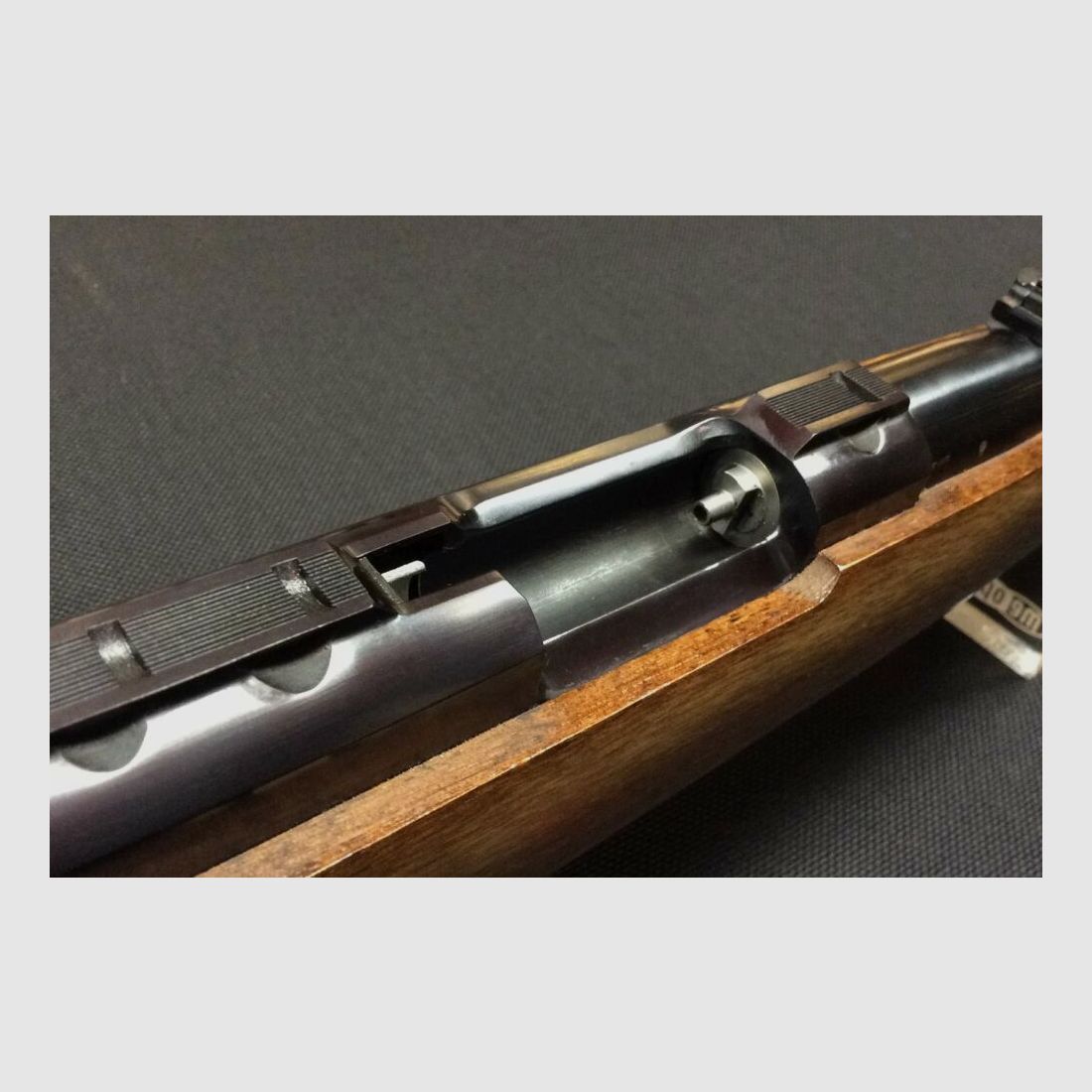 Ruger 77/50 .50(BlackPowder)