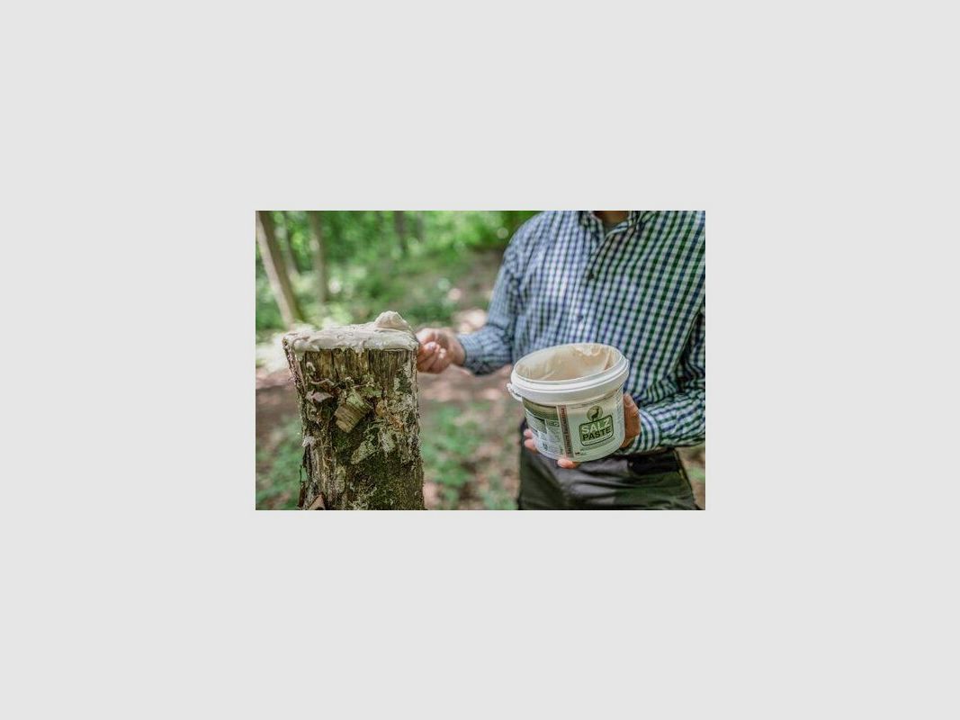 Salt paste anise 2Kg