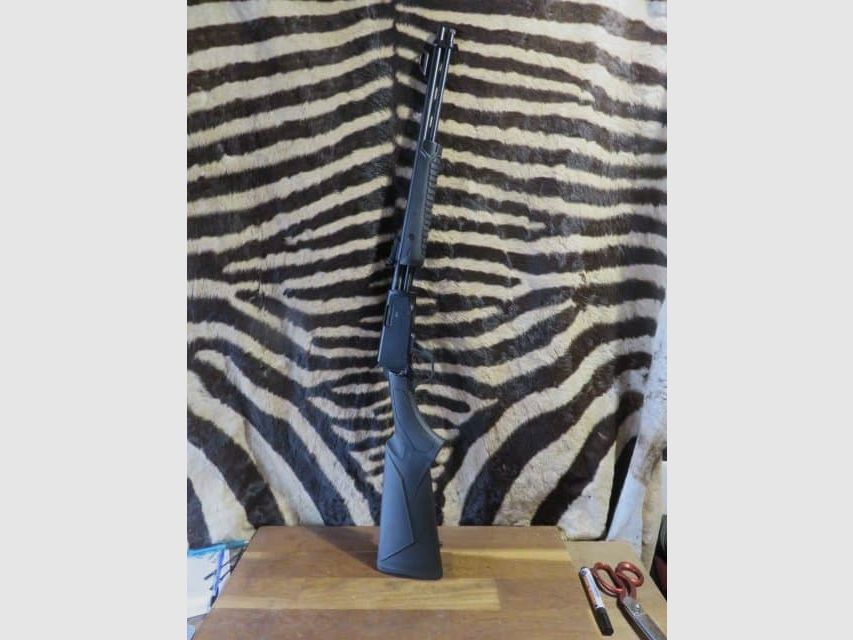 Pump-action rifle ROSSI Gallery cal. .22lr barrel 46 cm with sights, image 1 of 10