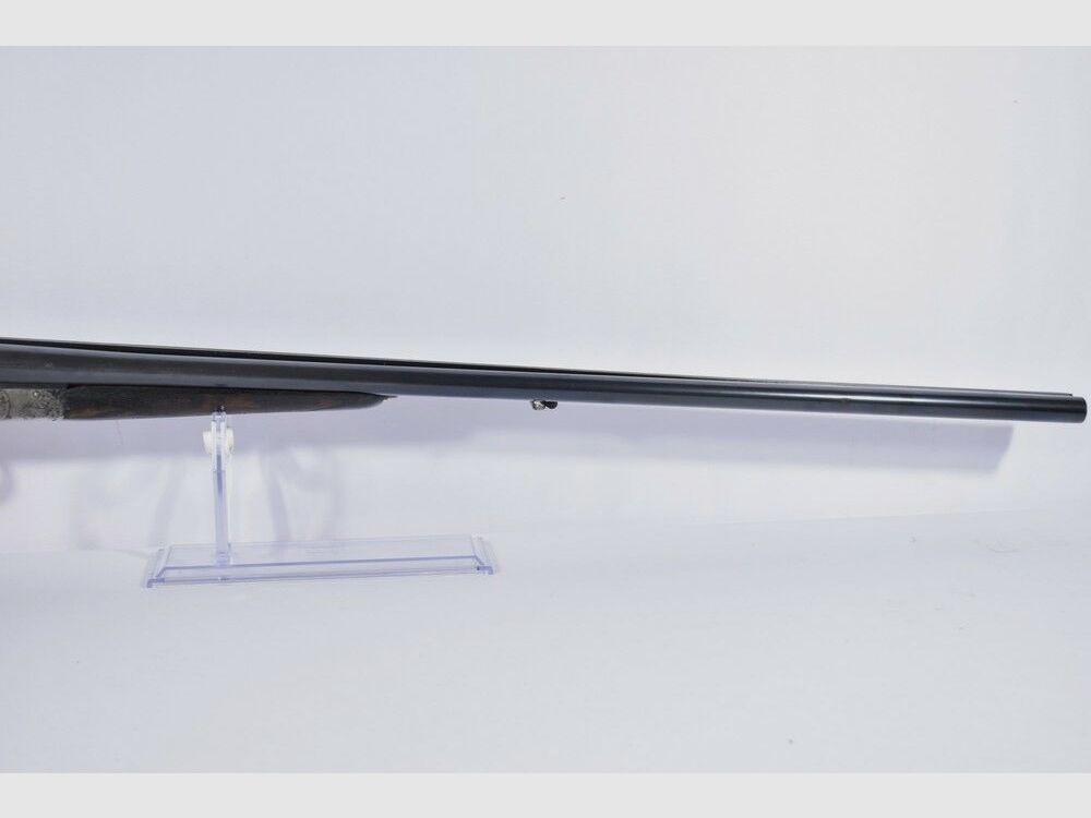 Bayard -