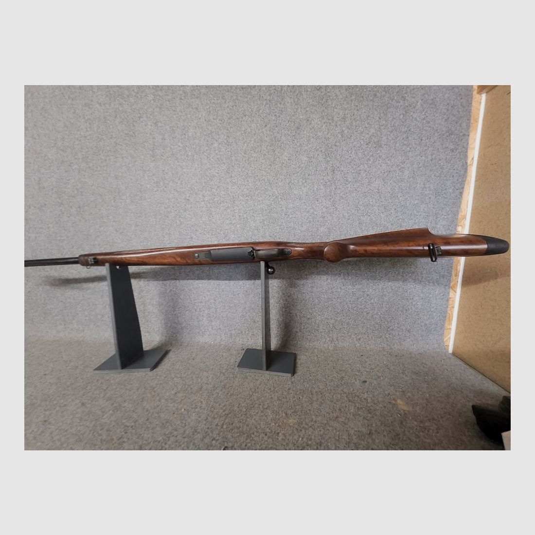 CZ- 550