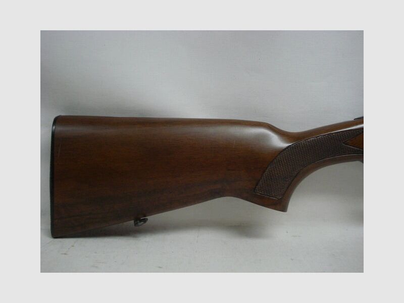 WISCHO Mega Star LL71 oE