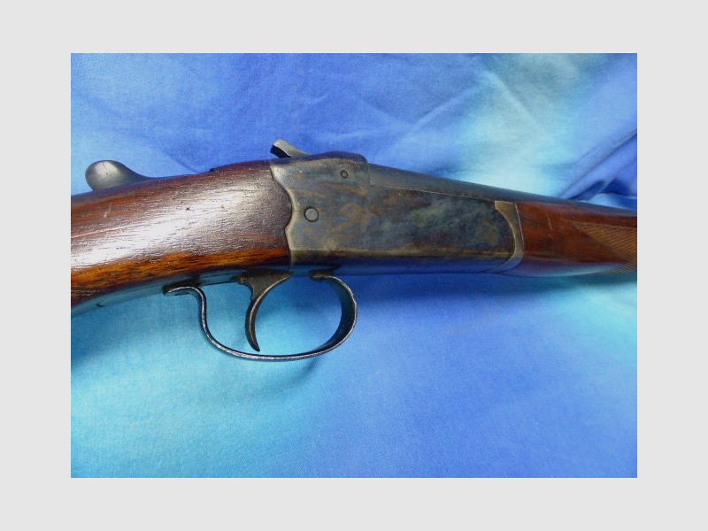 Aya Hiszpania Polowanie