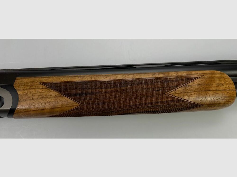 Blaser F16 Game
