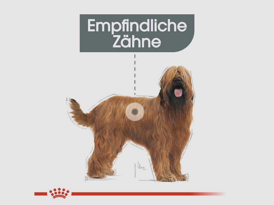 ROYAL CANIN Große Hunde Trockenfutter Dental Care Maxi für empfindliche Zähne 9 Kg