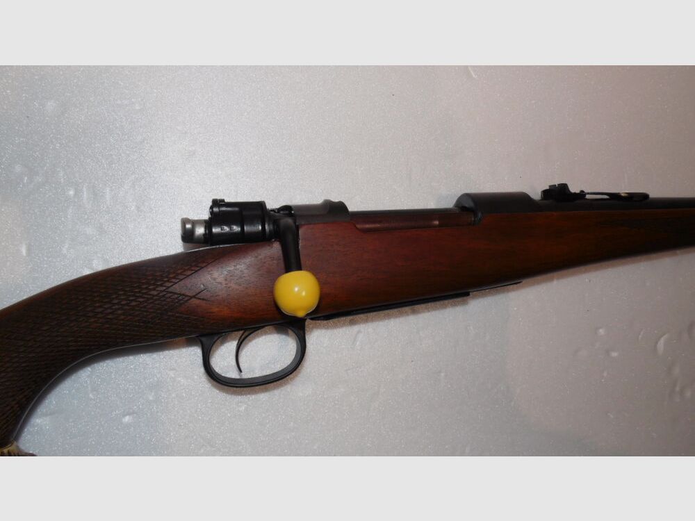Steyr (bnz) 98
