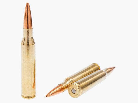 Fiocchi – .338 Lapua Mag Solid 240gr / 10 Stk.