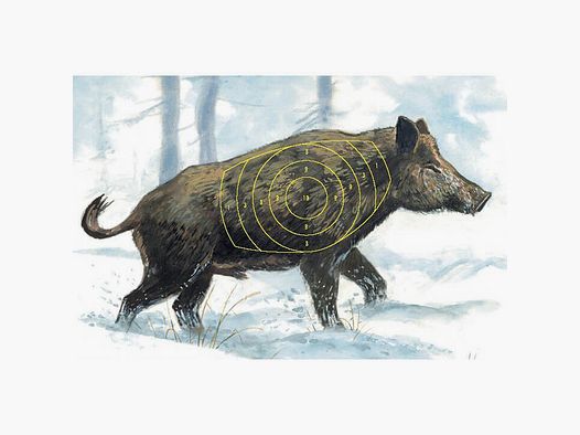 Hunting target boar 10 pcs.