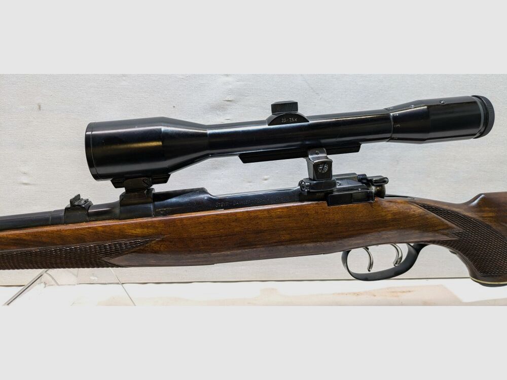 Steyr MC