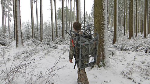 Klettersitz Lone-Wolf Tree Stand, erste Erfahrungen