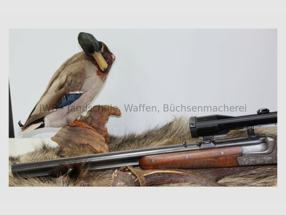 Merkel Bockbüchse Q1 met Zeiss Diatal 7x65R;12/70