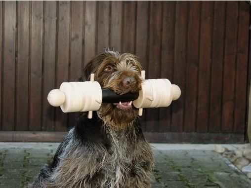 Apportierbock mit Handgriff