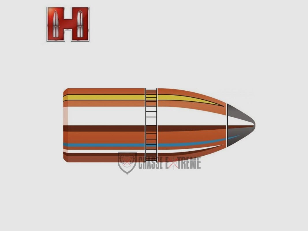 50 Geschosse HORNADY Kal. 405 Win 300Gr InterLock Sp