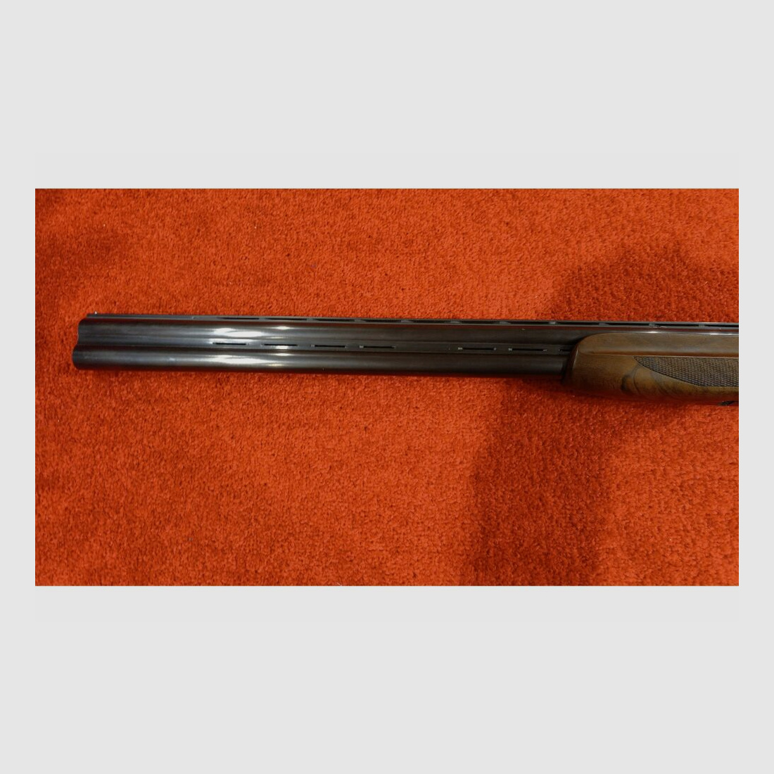 Frankonia Jagd 12/76