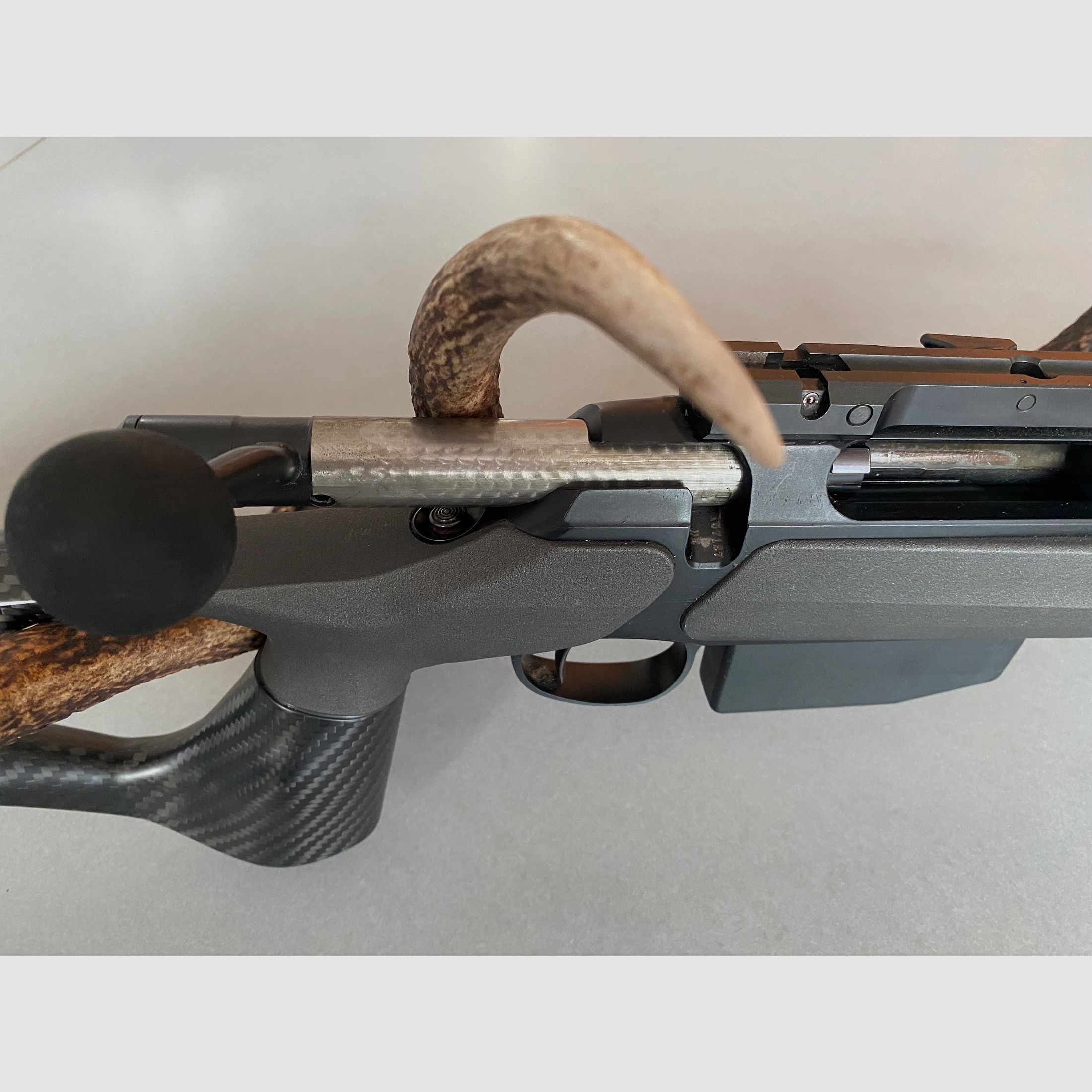 Sauer 202 carbon stock caliber 308