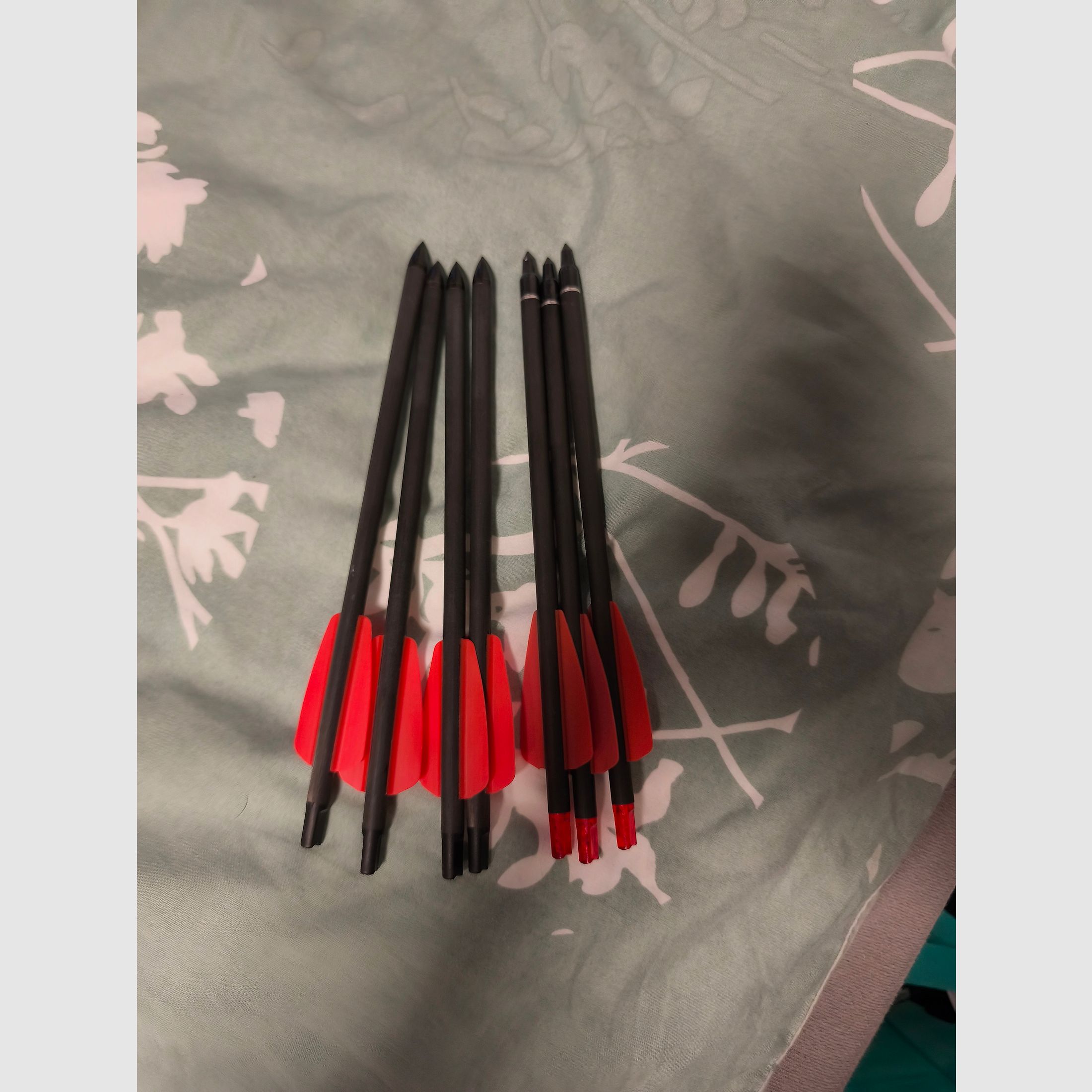 EK Archery Cobra RX viel Zubehör