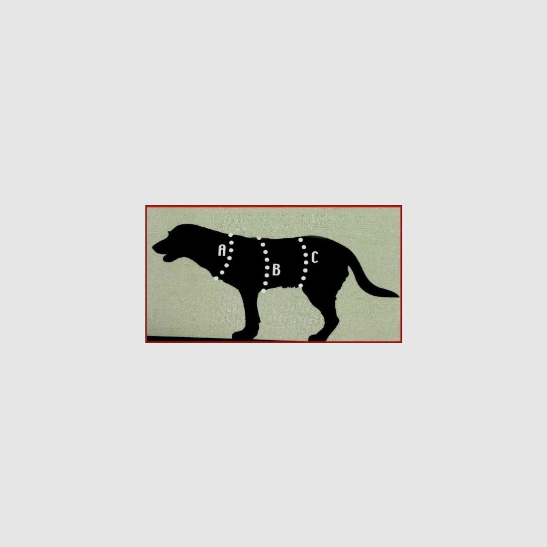 Dokken's Neopren-Hundeweste x-treme, Bild 3 von 6