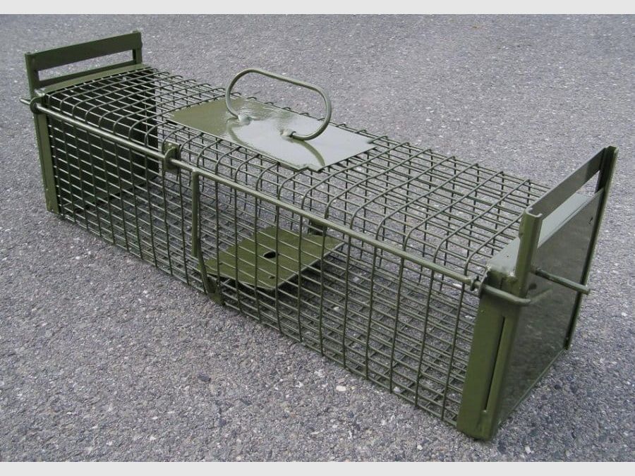 DAUTH wire box small animal trap with two trap doors