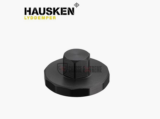 Disassembly Tool HAUSKEN