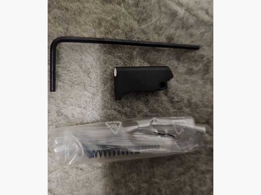 LPA M1B SG Visiera Korneinsatz Tac Fucile