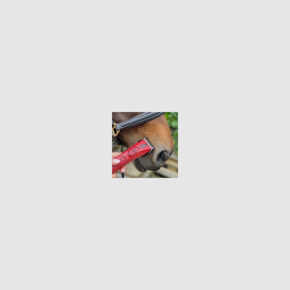 Tondeuse LIVERYMAN NOVA, image 2 sur 5