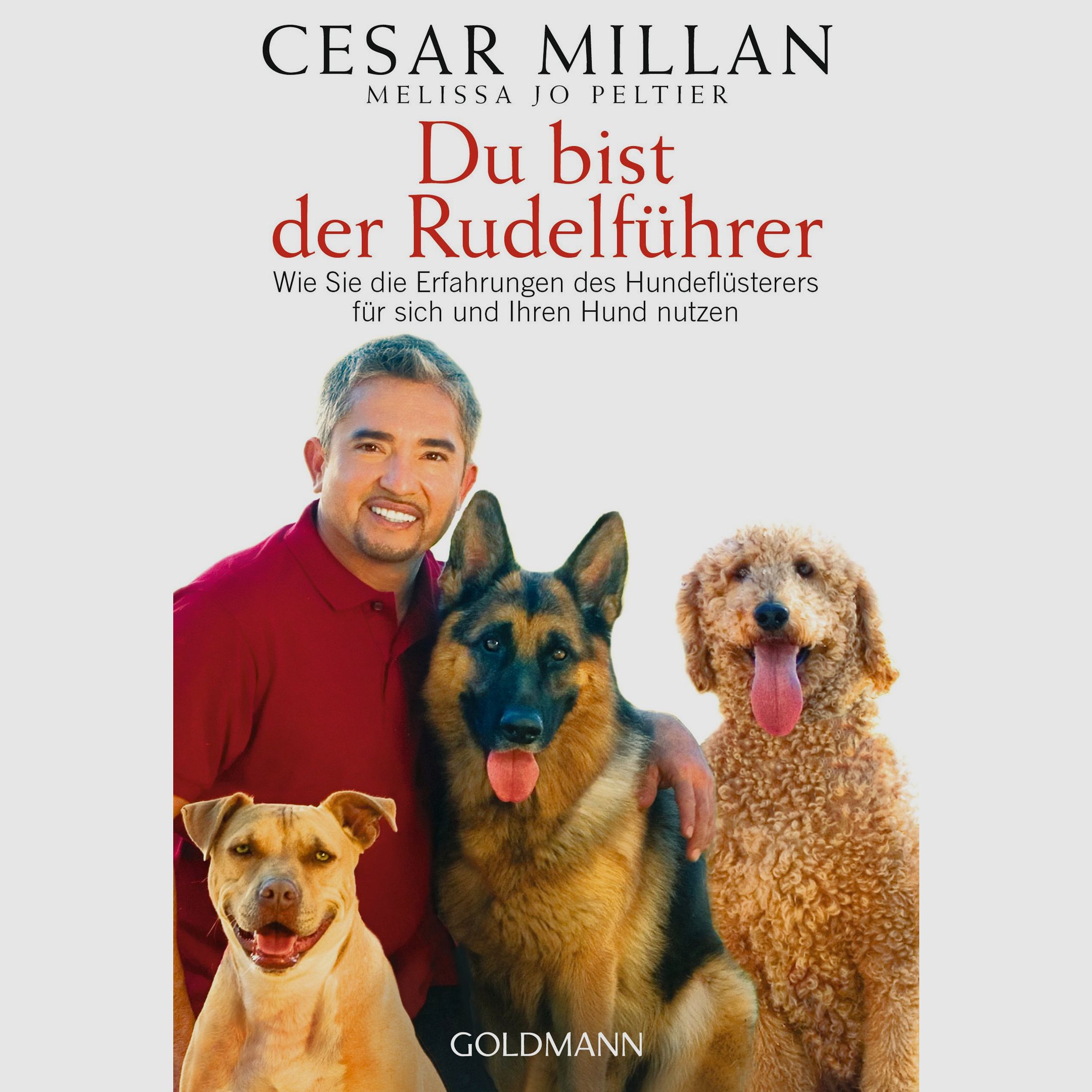 Du bist der Rudelfhrer Wie Sie die Erfahrungen des Hundeflsterers fr sich und Ihren Hund nutzen