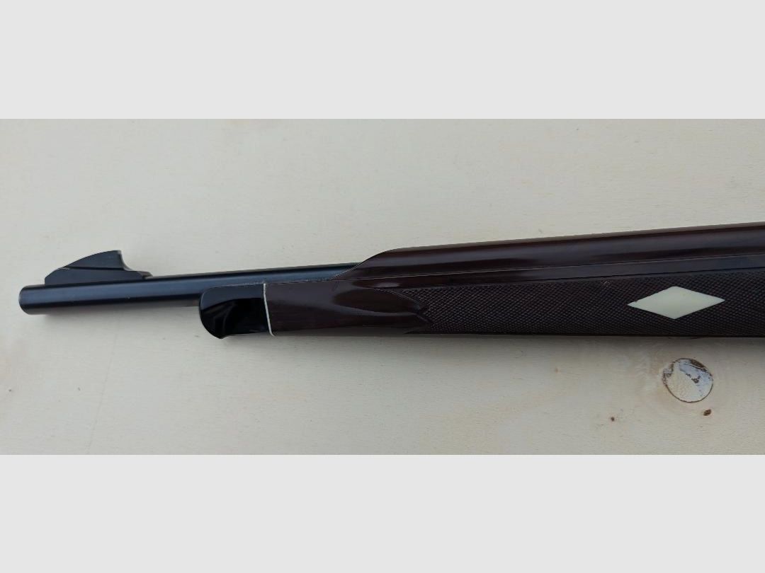 Nylon 76 Remington .22lr, onderhevel herhalingsgeweer