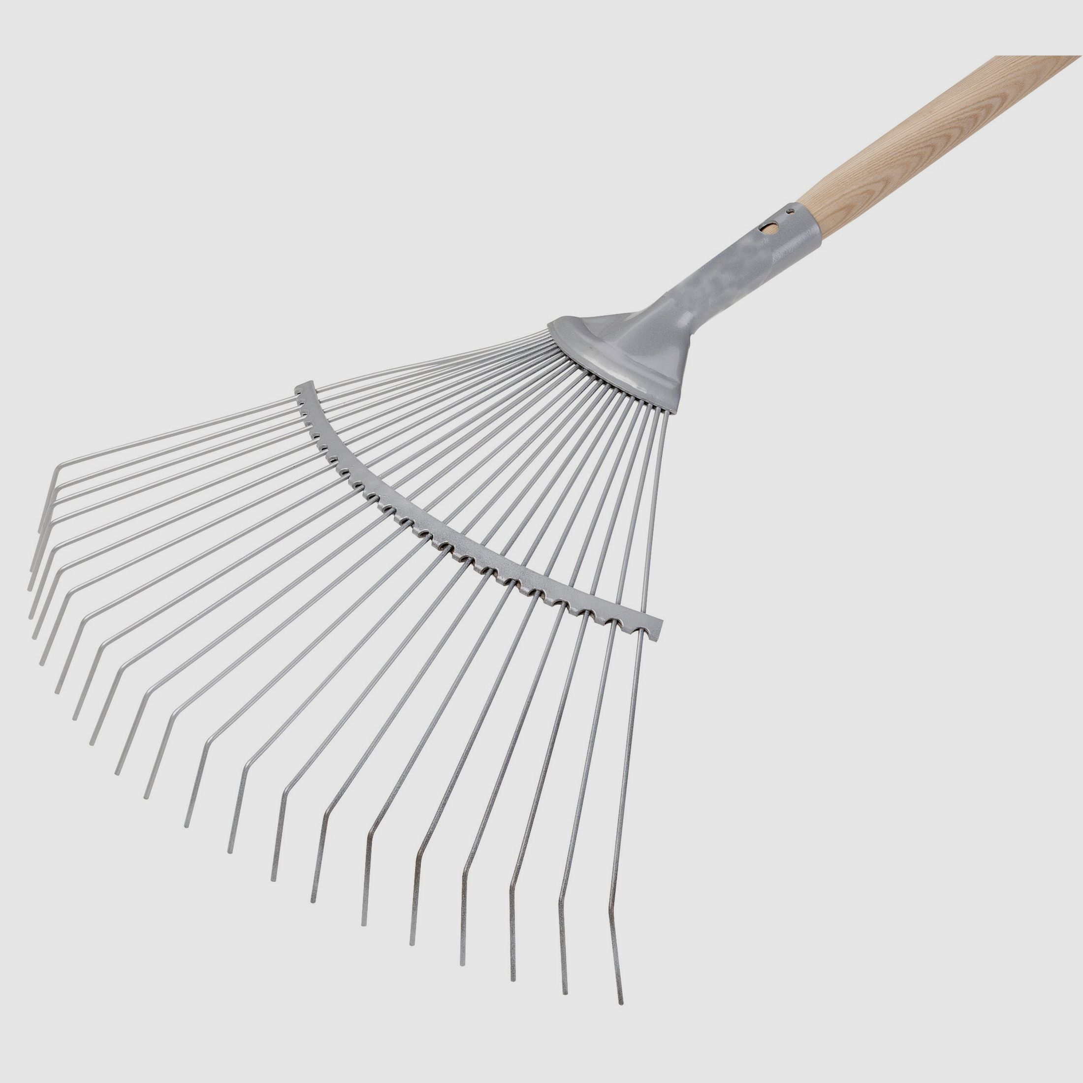 Flora Grabie do liści